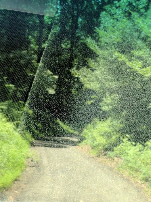 Chesapeake Ranch Estates Campgrounds 10