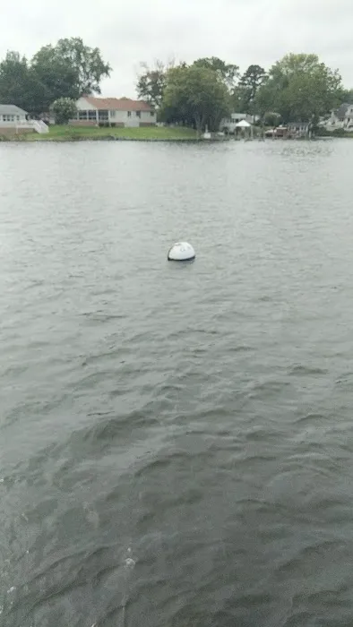 Zahnisers Mooring Field 2