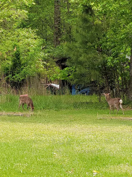 Taylors Island Family Campgrounds 7