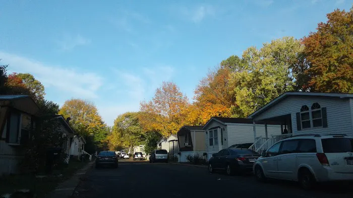 Fernwood 1