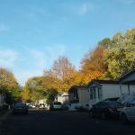 Fernwood