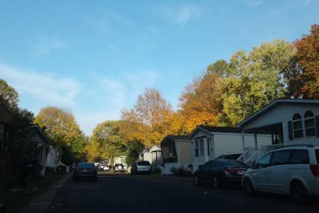 Fernwood