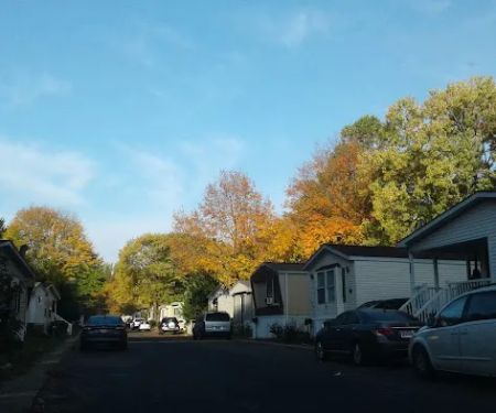Fernwood