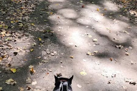 Watkins Regional Park Campground