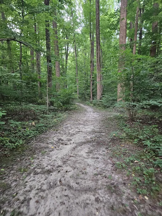 Watkins Regional Park Campground 6