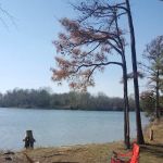 Goose Creek Campground