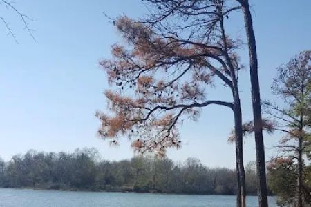 Goose Creek Campground