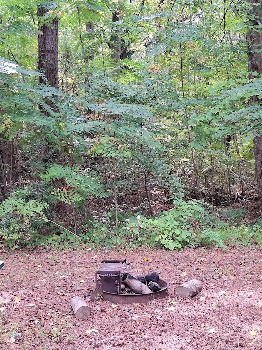 Goose Creek Campground 10