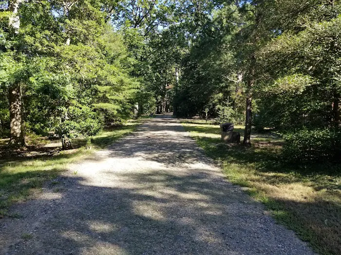 Paradise Grove Campground 3