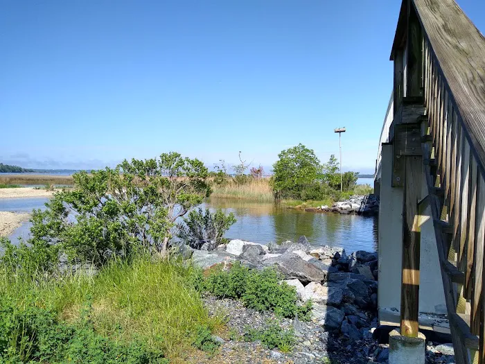 Paradise Grove Campground 1