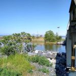 Paradise Grove Campground
