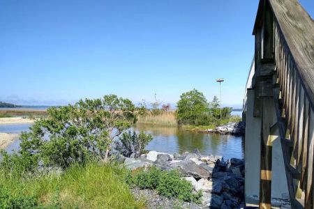 Paradise Grove Campground