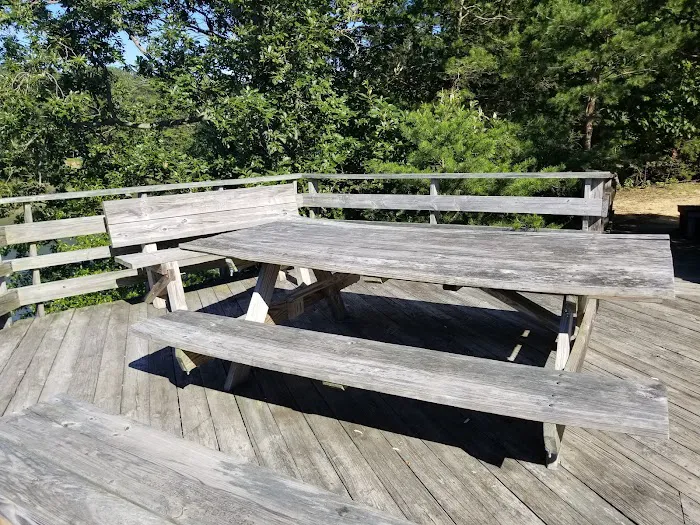 Paradise Grove Campground 8