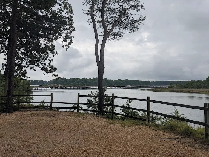 Paradise Grove Campground 9