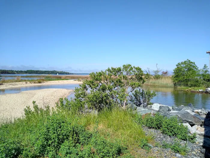 Paradise Grove Campground 10