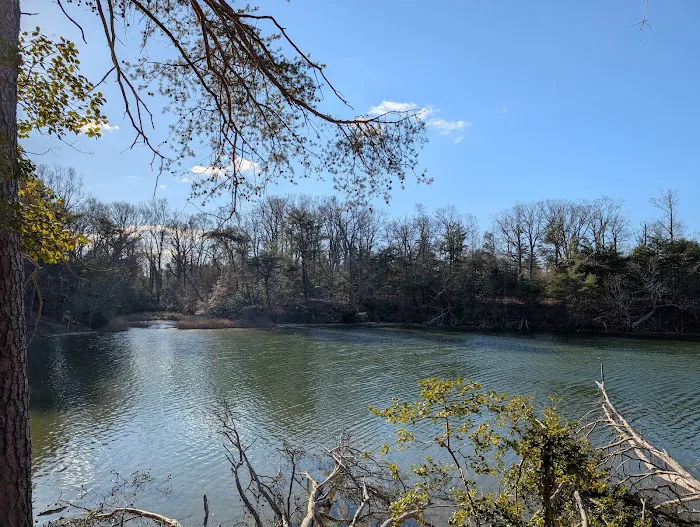 Hog Point Campground 5