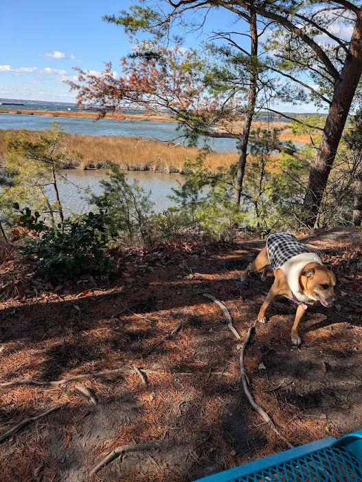 Hog Point Campground 2