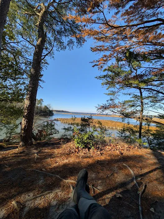 Hog Point Campground 6