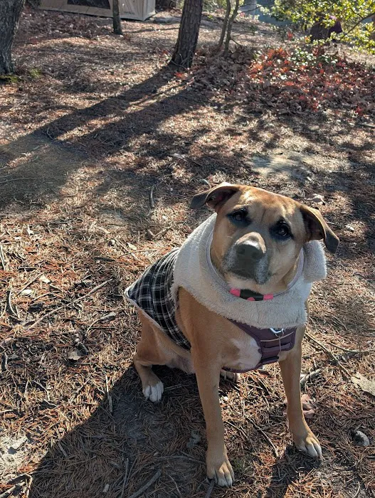 Hog Point Campground 9