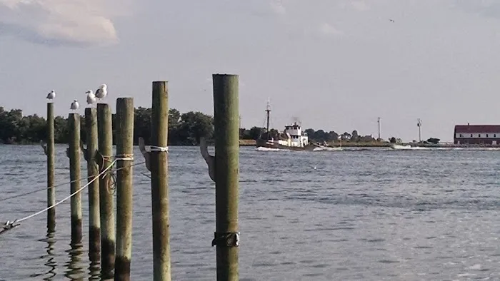 Chesapeake Bay Camp Ground 7
