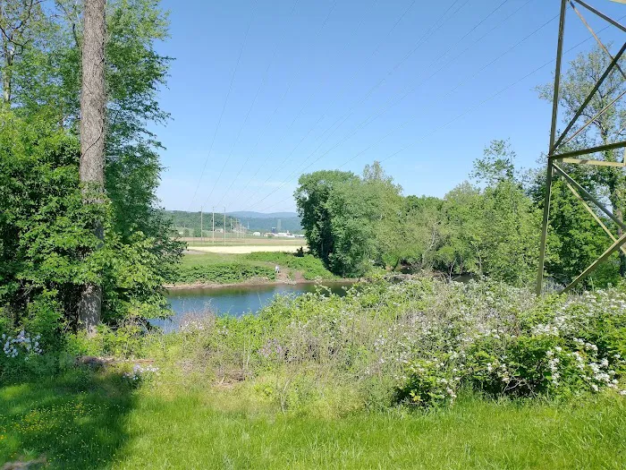 Evitts Creek Campsite 3
