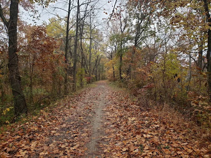 Evitts Creek Campsite 9