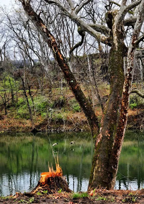 Rivers Edge on the Potomac Campground 1