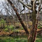 Rivers Edge on the Potomac Campground