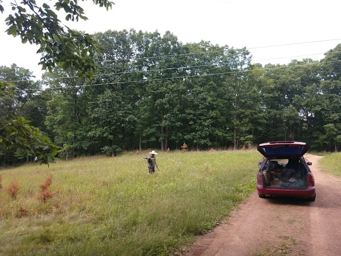 Campsite 51 3