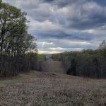 Campsite 51
