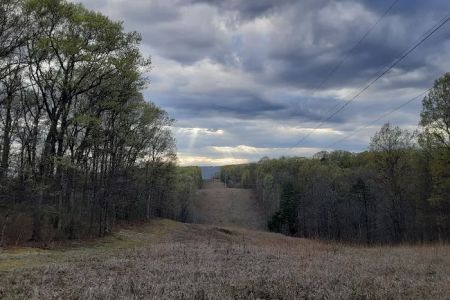 Campsite 51