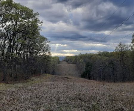 Campsite 51