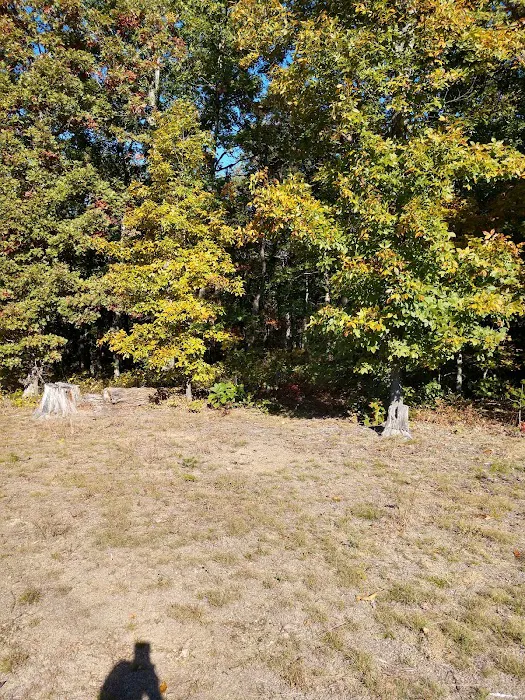 Campsite 51 9