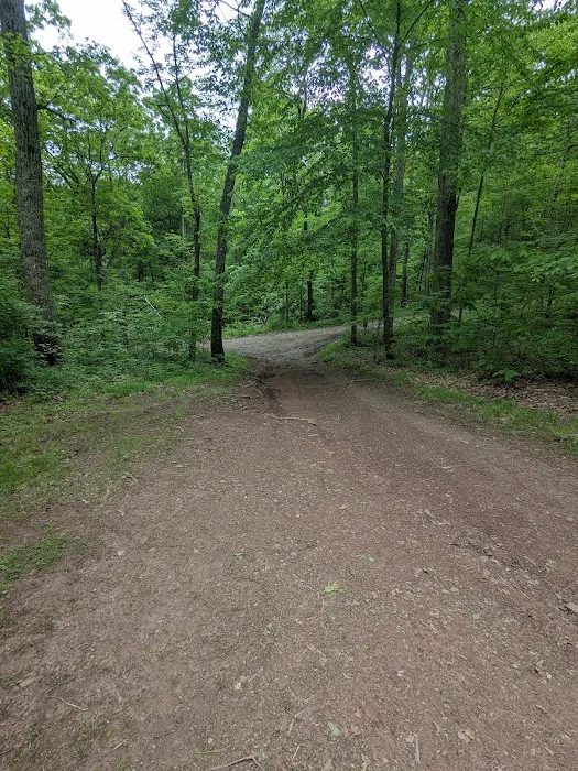 Campsite 53 2