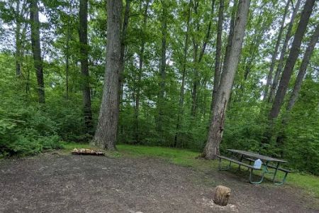 Campsite 53