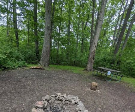 Campsite 53