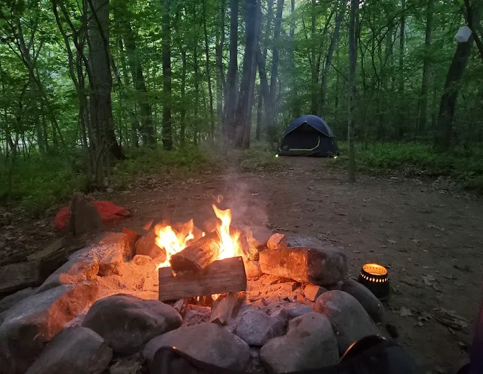 Paddler's Lane Campground 4