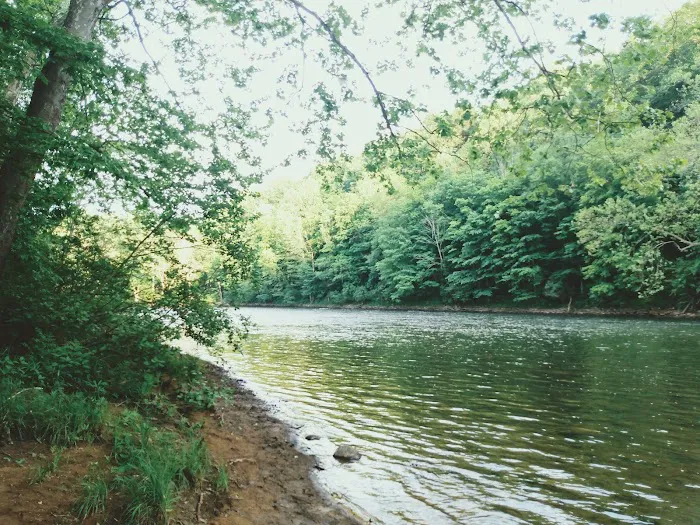 Paddler's Lane Campground 3