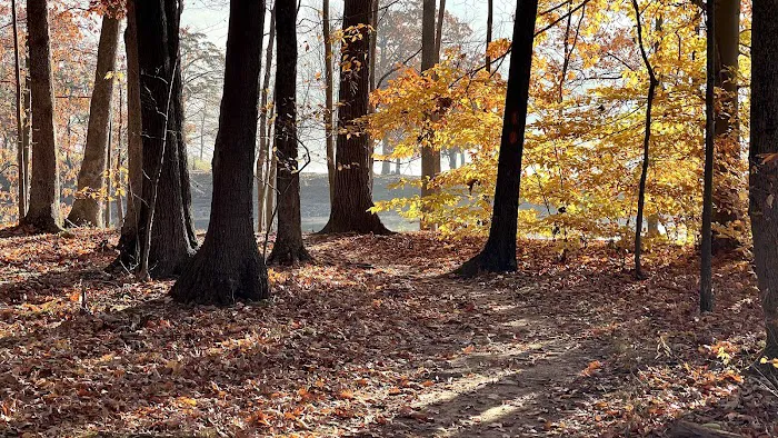 Rocky Gap State Park Campground 2