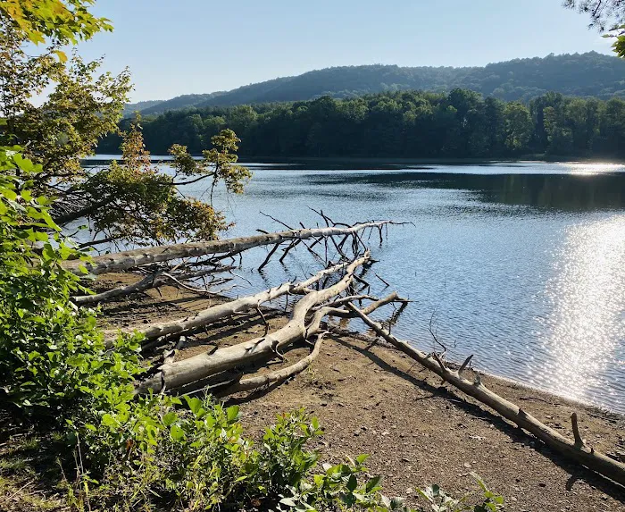 Rocky Gap State Park Campground 3