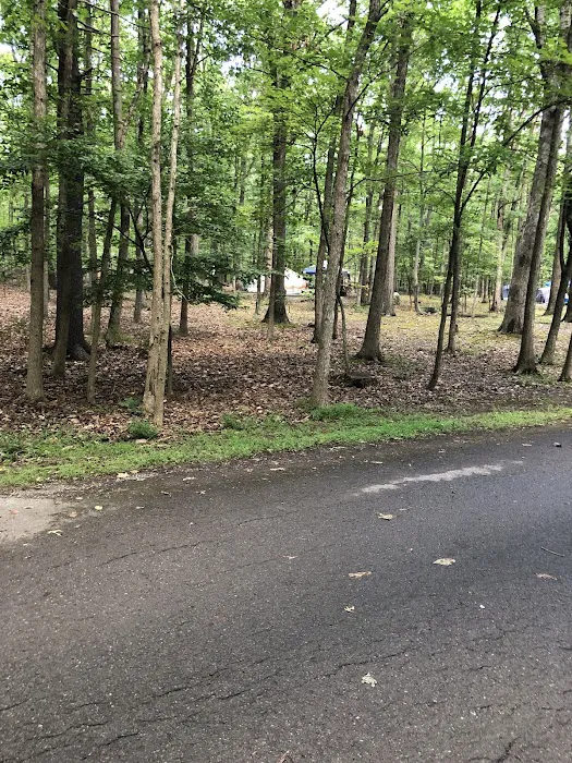 Rocky Gap State Park Campground 9