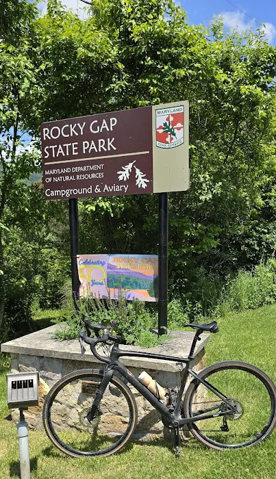 Rocky Gap State Park Campground 4