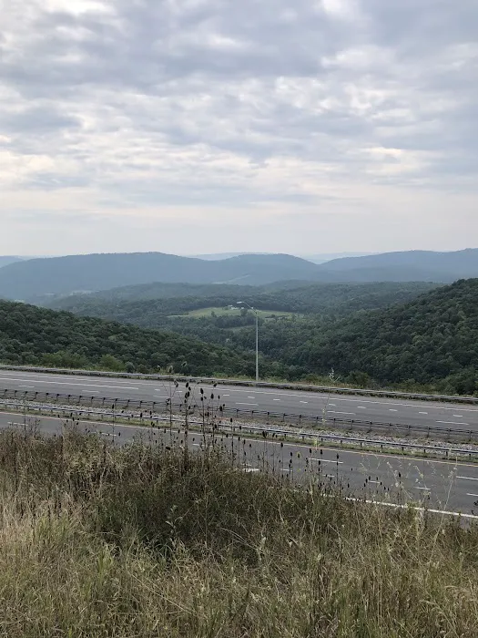 Rocky Gap State Park Campground 10