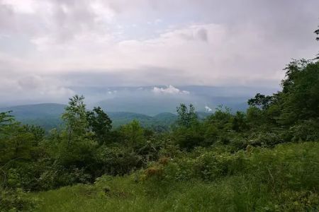 Group Campsite G-7