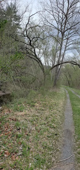 Sorrel Ridge Campground 8