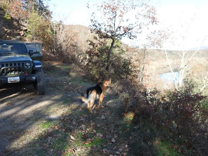 Green Ridge Site 65 10