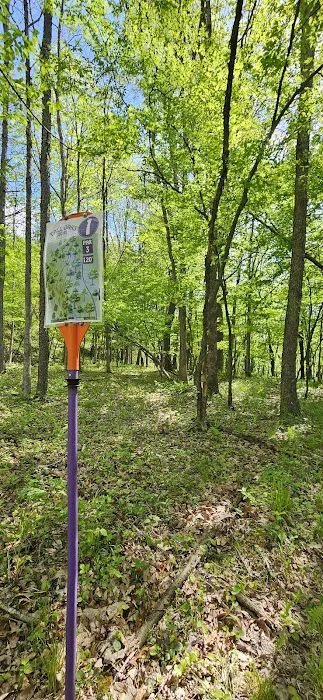 Tall Oaks Campground 9
