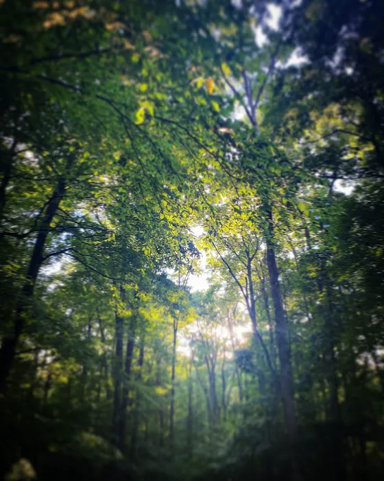 Tall Oaks Campground 10