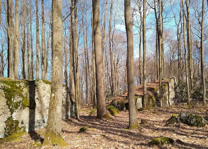 Forbes Campsite #4 1