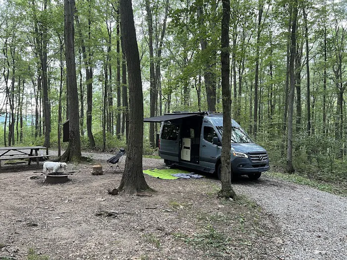 Forbes Campsite #4 2